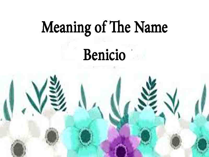 Meaning Of The Name Benicio, Origin Celebrities Personality, Numerology
