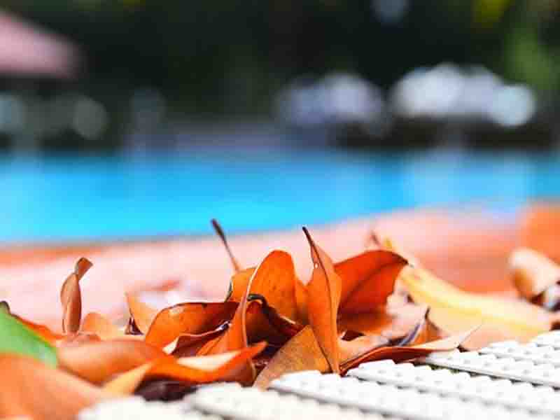 Routine Swimming Pool Maintenance Companies in Dubai
