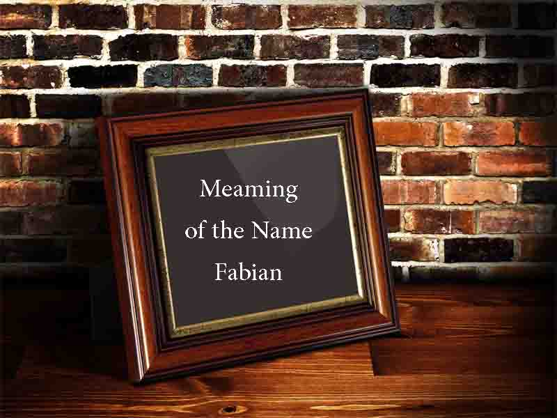 Meaning of The Name Fabian Origin, Personality and Numerology
